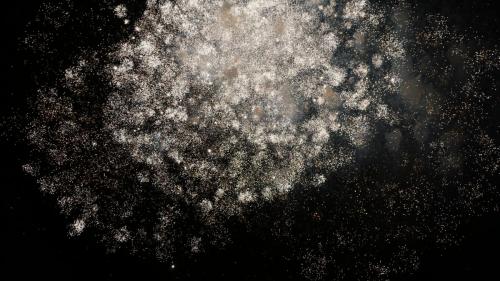 50 Jahre Phantasialand