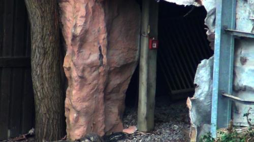 Abbau: Stonewash Creek & Wildwash Creek 10