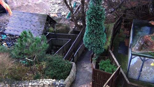 Abbau: Stonewash Creek & Wildwash Creek 5