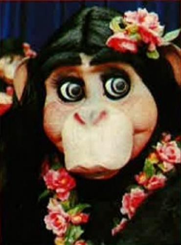 Affenshow Klimbimski