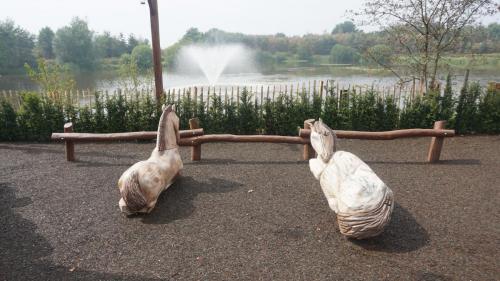 Arthur's Tournament Training 2