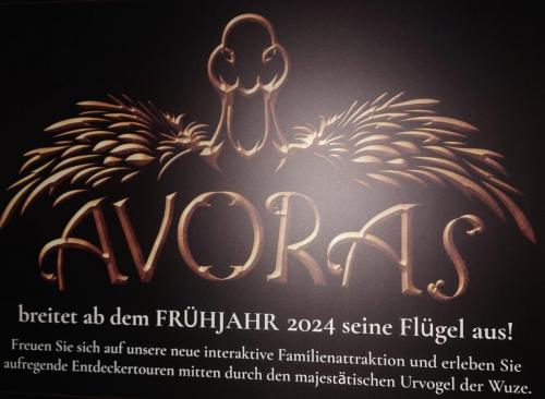 Aufbau: Avoras 15