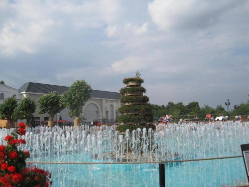 Aufbau: Kaiserplatz 8