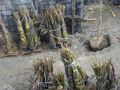 Aufbau: Klugheim 232