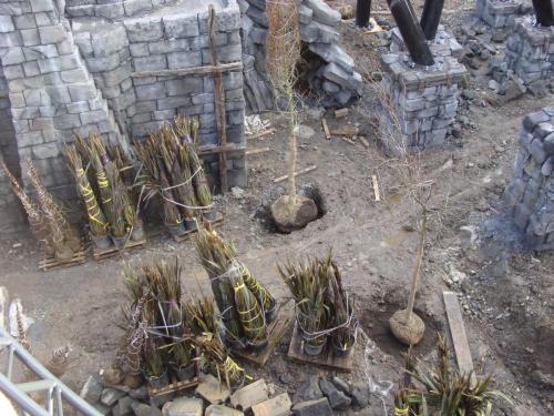 Aufbau: Klugheim 241