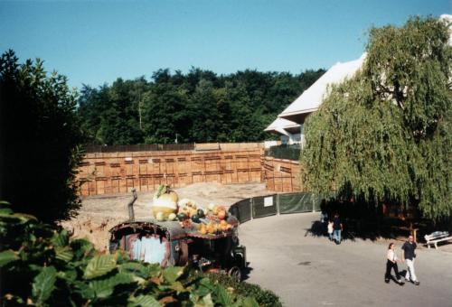 Aufbau: Wuze Town 12