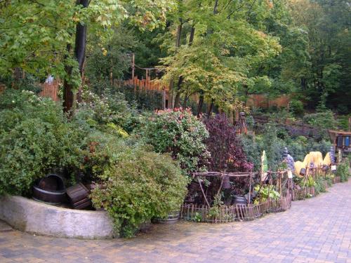 Baumberger Irrgarten 1