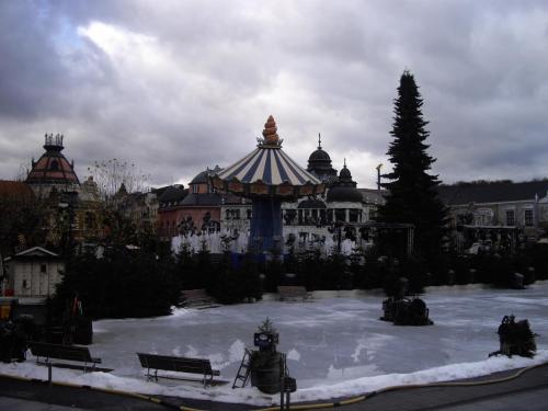 Berliner Eislaufen 10