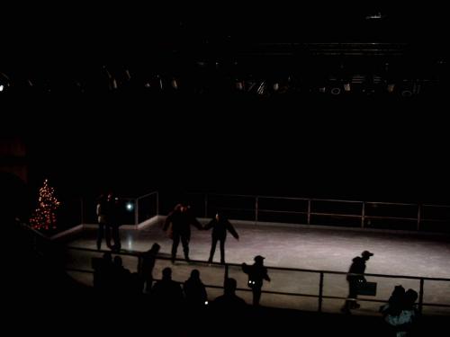 Berliner Eislaufen 4