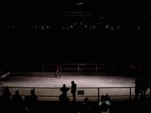 Berliner Eislaufen 5