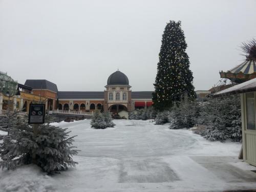 Berliner Eislaufen 9