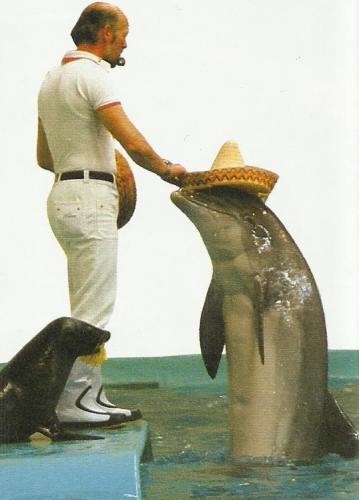 Delfinshow 19