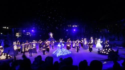 Die magische Rose 10