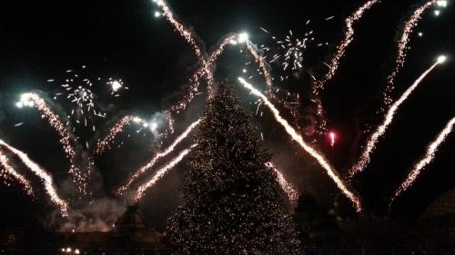 Die magische Rose 11