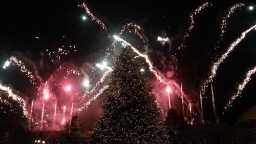 Die magische Rose 12