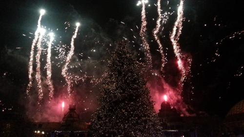 Die magische Rose 13