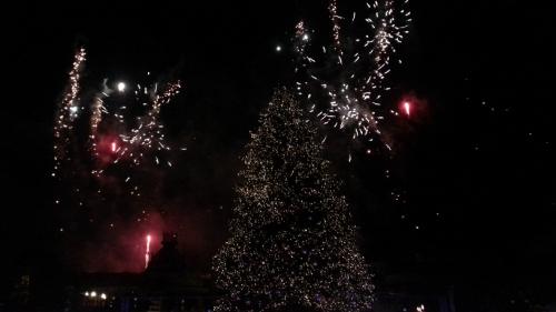 Die magische Rose 14