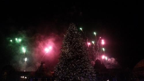 Die magische Rose 15