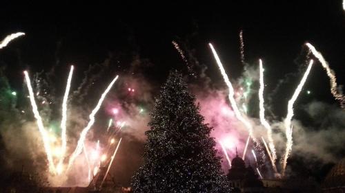 Die magische Rose 16