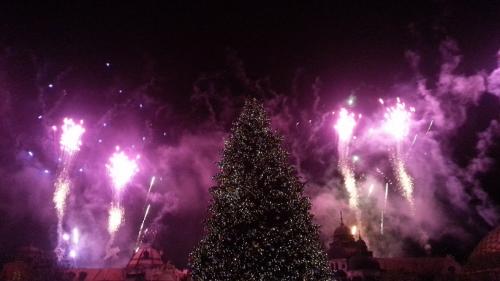 Die magische Rose 17