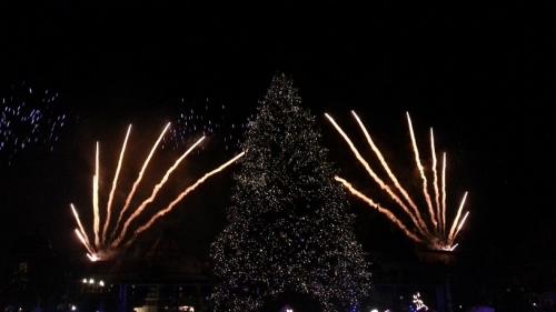 Die magische Rose 18