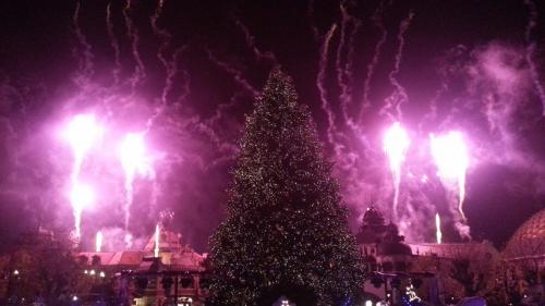 Die magische Rose 19