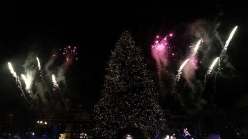 Die magische Rose 20