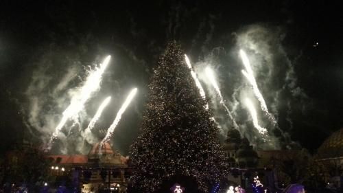 Die magische Rose 21