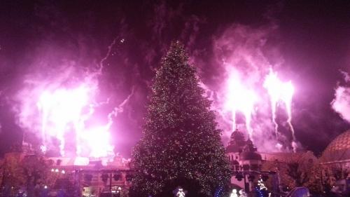 Die magische Rose 22