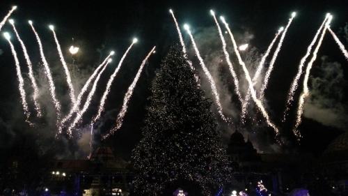 Die magische Rose 23