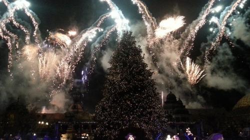 Die magische Rose 24