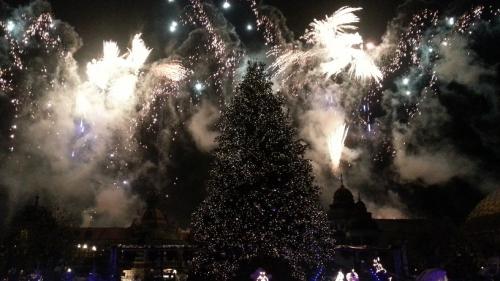 Die magische Rose 25