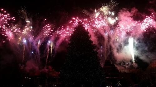 Die magische Rose 26