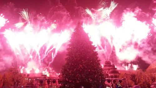 Die magische Rose 27