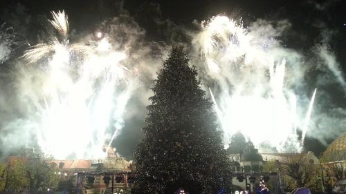 Die magische Rose 28