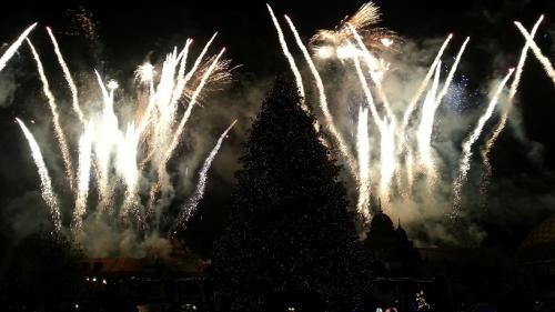 Die magische Rose 29