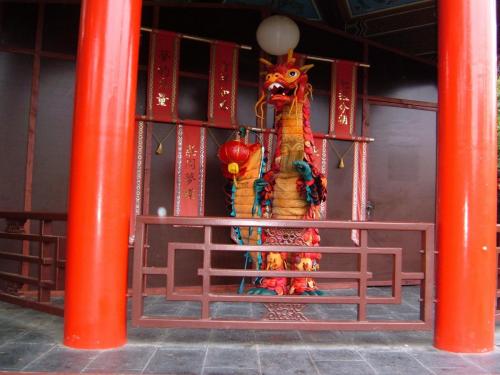 Drache Wang 3