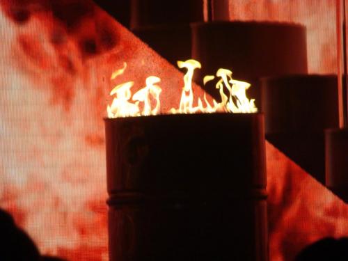 Fantissima 2014/2015 14