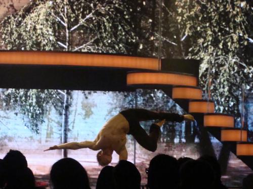 Fantissima 2015/2016 11