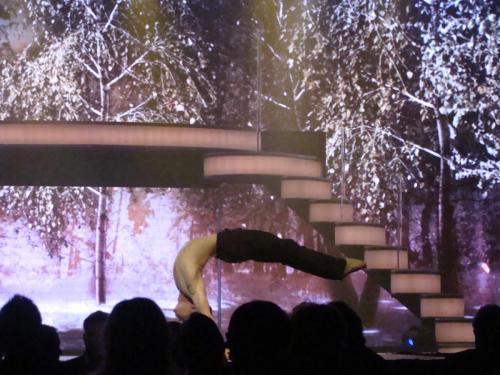 Fantissima 2015/2016 12