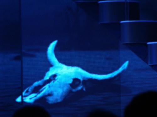 Fantissima 2016/2017 5