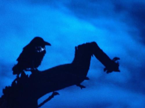 Fantissima 2016/2017 6