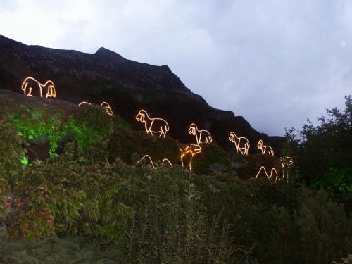 Festival der Lichter 2006 18