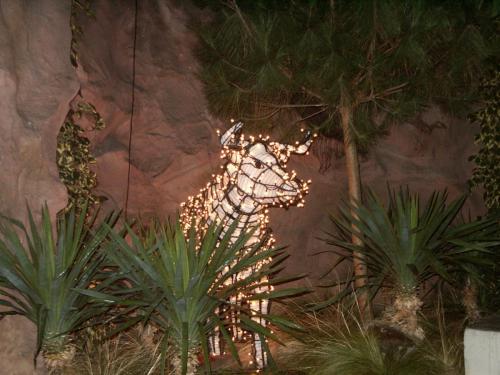 Festival der Lichter 2006 46