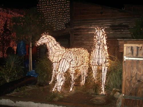 Festival der Lichter 2006 47