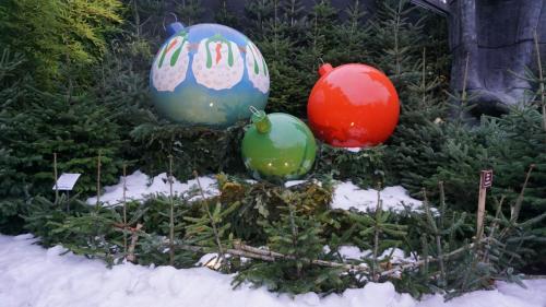 Fotopunkt: Christbaumkugel 13