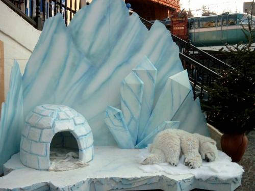 Fotopunkt: Eisscholle 1