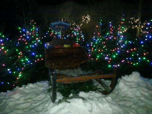 Fotopunkt: Weihnachtsschlitten 4