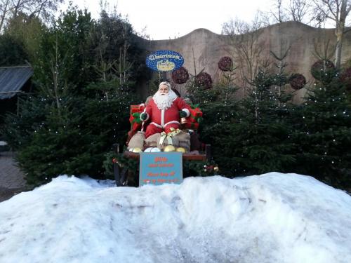 Fotopunkt: Weihnachtsschlitten 5