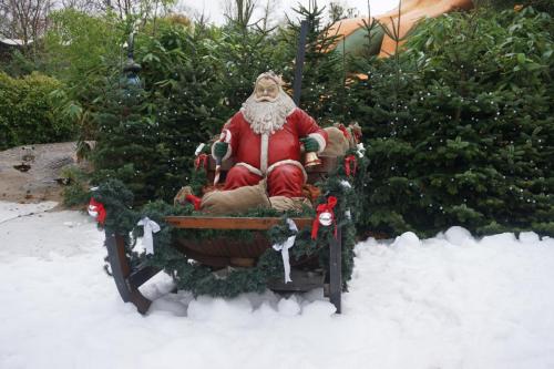 Fotopunkt: Weihnachtsschlitten 6